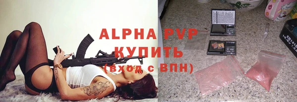 индика Володарск