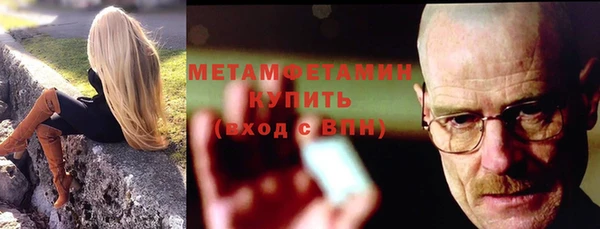индика Володарск