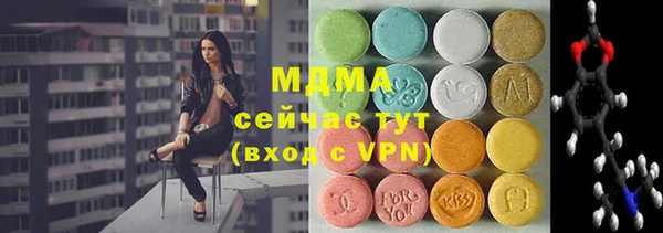 индика Володарск