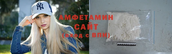 индика Володарск
