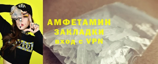 индика Володарск