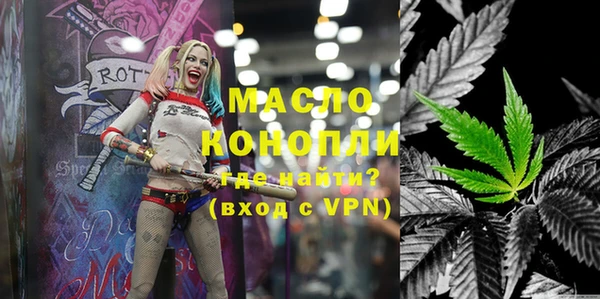 индика Володарск