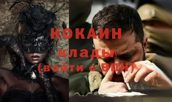 индика Володарск