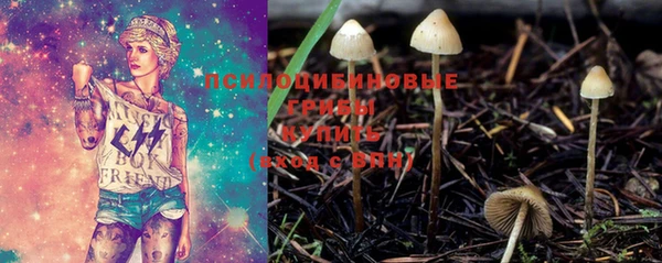 индика Володарск