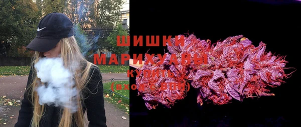 индика Володарск