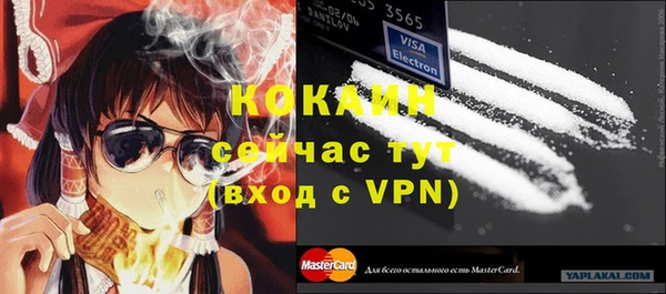 индика Володарск