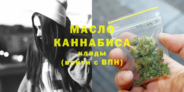 индика Володарск